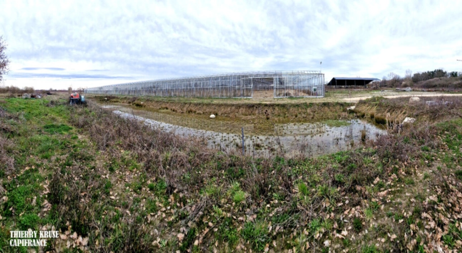 Photos 20 - Agricultural - Terrain agricole douze hectares, vergers, hangar bio-climatique fermé, hangar ouvert, serres, rucher, lac artificiel