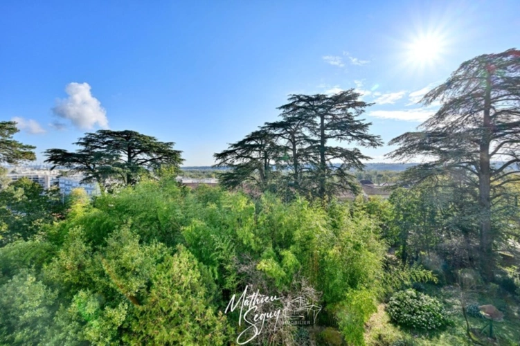 Photos 44 - Prestige - Découvrez l'élégance intemporelle de cette Maison de Maître d'exception à rénover