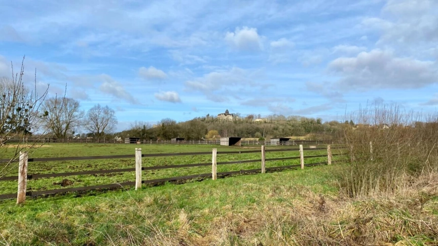 Photos 2 - Équestre - Ecurie de course