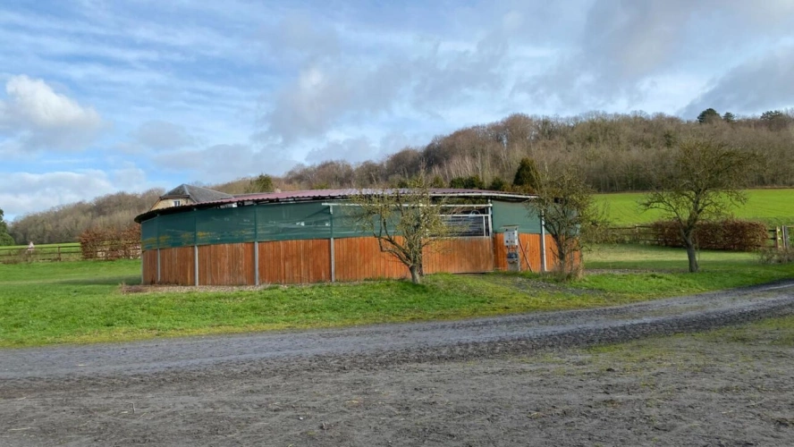 Photos 3 - Équestre - Ecurie de course