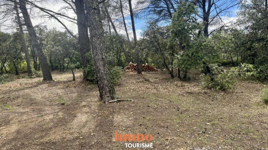 Photos 15 - Tourist - Domaine avec gîtes et maison principale à Grans, en Provence