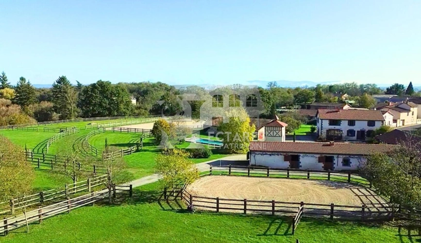 Photos 2 - Équestre - Propriété équestre d'exception 4 hectares