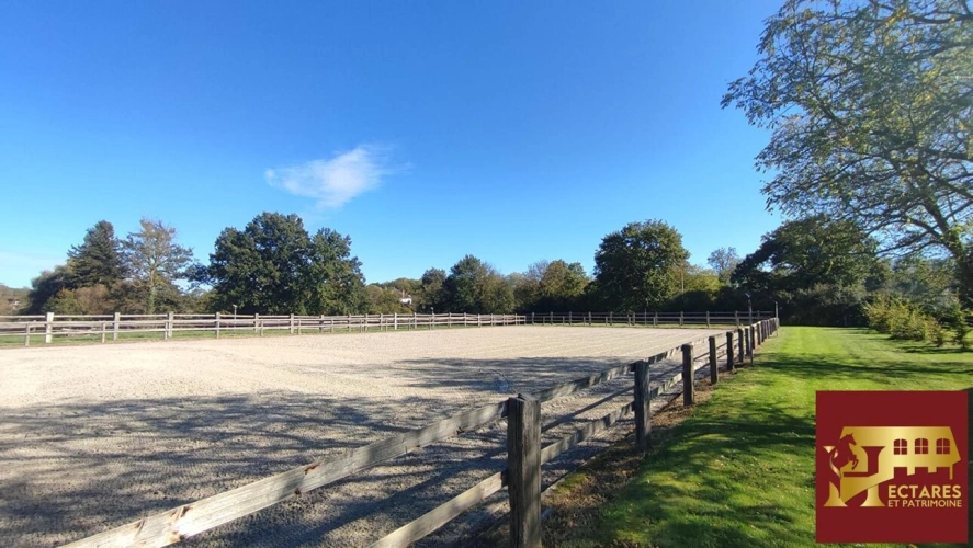 Photos 3 - Équestre - Propriété équestre d'exception 4 hectares