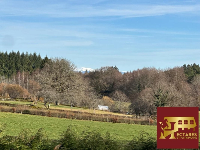 Photos 3 - Rurale - Maison avec boxes sur 1,6 hectare