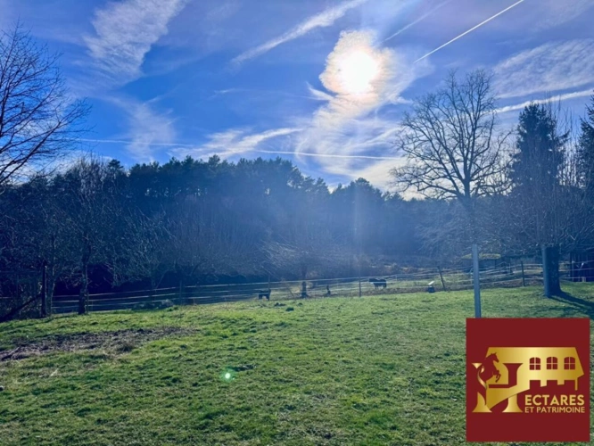 Photos 7 - Rurale - Maison avec boxes sur 1,6 hectare