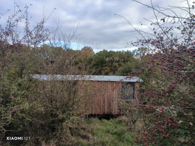 Photos 4 - Agricole - Propriété insolite pour activités diverses