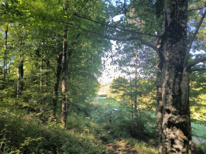 Photos 8 - Agricole - Propriété insolite pour activités diverses