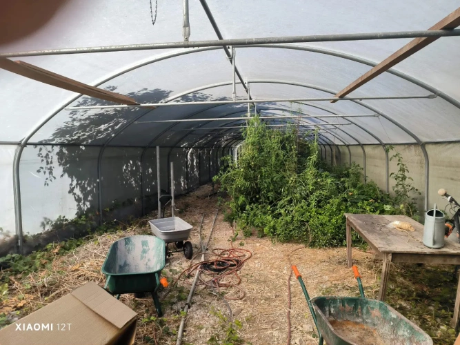 Photos 10 - Agricole - Propriété insolite pour activités diverses