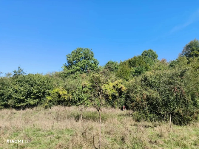 Photos 14 - Agricole - Propriété insolite pour activités diverses