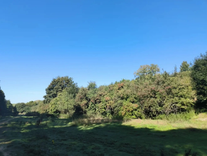 Photos 15 - Agricole - Propriété insolite pour activités diverses