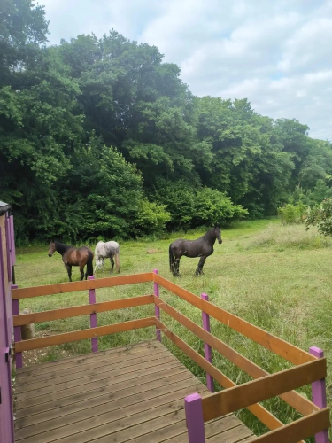 Photos 17 - Agricole - Propriété insolite pour activités diverses