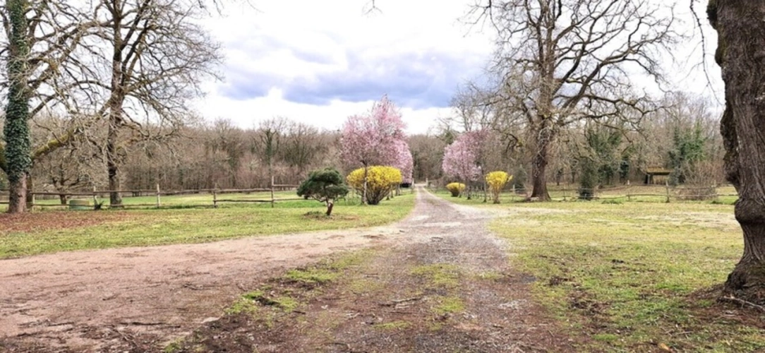 Photos 5 - Équestre - THENON (24)A vendre, Propriété composée de deux maisons sur 5.5 ha de prés (possibilité haras) et de bois