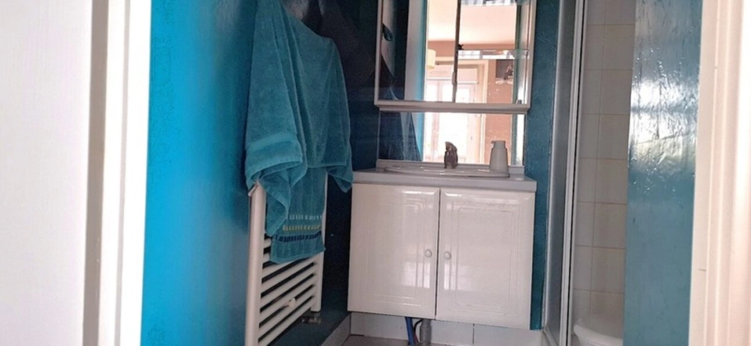 Photos 15 - Équestre - THENON (24)A vendre, Propriété composée de deux maisons sur 5.5 ha de prés (possibilité haras) et de bois