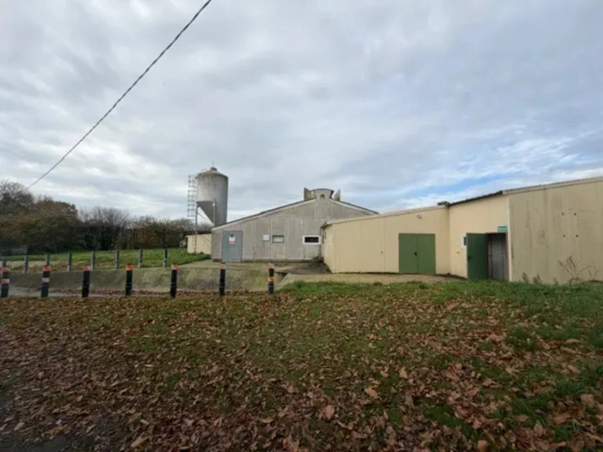 Photos 1 - Agricole - Exploitation Avicole située à Loudéac