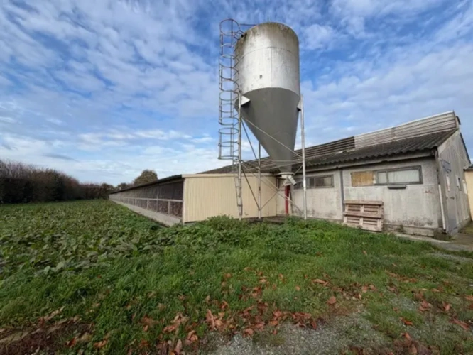 Photos 2 - Agricole - Exploitation Avicole située à Loudéac