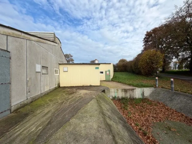 Photos 3 - Agricole - Exploitation Avicole située à Loudéac