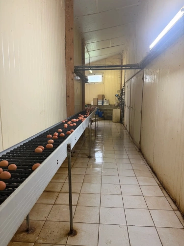 Photos 4 - Agricole - Exploitation Avicole située à Loudéac