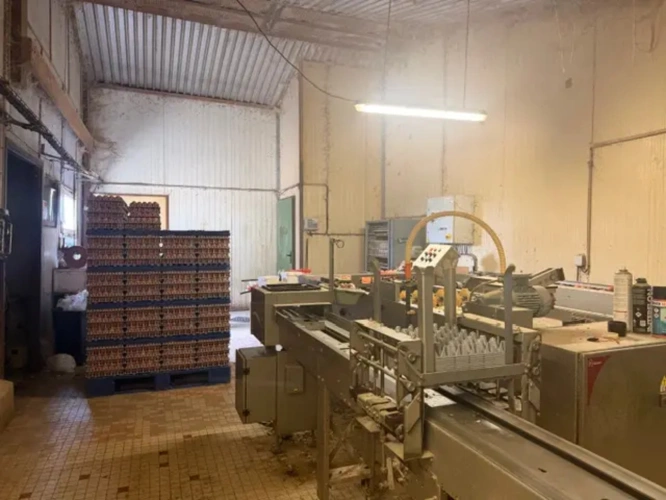 Photos 5 - Agricole - Exploitation Avicole située à Loudéac