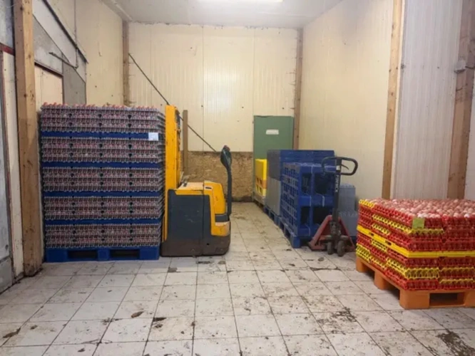 Photos 6 - Agricole - Exploitation Avicole située à Loudéac