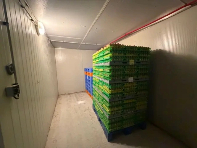 Photos 4 - Agricole - Exploitation Avicole au Nord des Côtes d'Armor