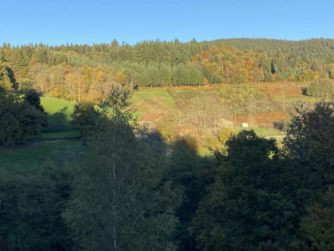 Photos 3 - Équestre - Propriété au coeur du Parc naturel du Livradois-Forez - 27 h