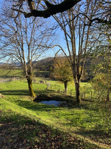 Photos 6 - Équestre - Propriété au coeur du Parc naturel du Livradois-Forez - 27 h