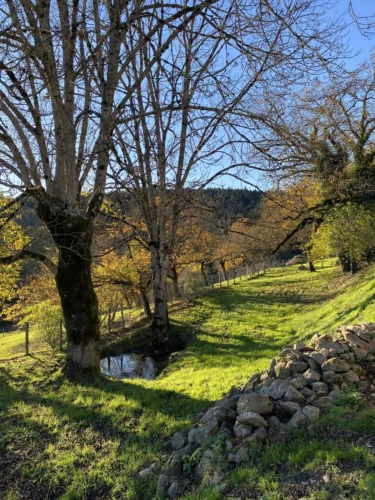 Photos 11 - Équestre - Propriété au coeur du Parc naturel du Livradois-Forez - 27 h