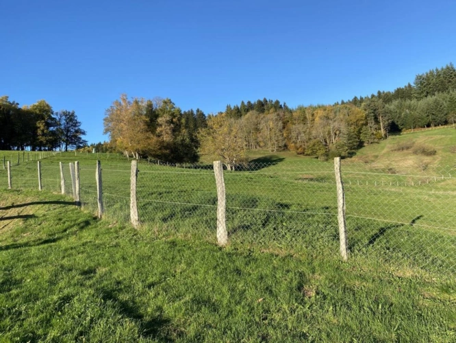 Photos 12 - Équestre - Propriété au coeur du Parc naturel du Livradois-Forez - 27 h