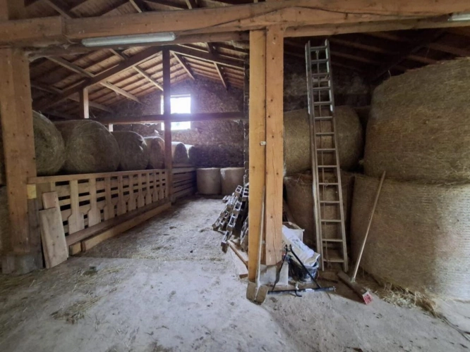 Photos 17 - Équestre - Propriété au coeur du Parc naturel du Livradois-Forez - 27 h