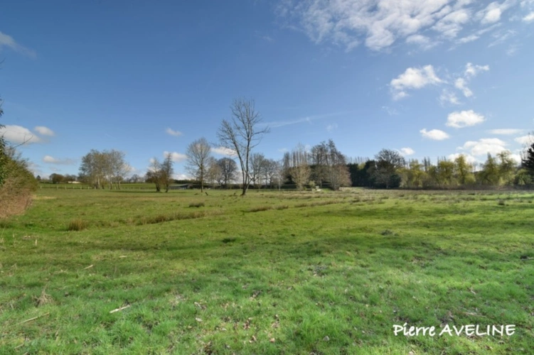 Photos 5 - Rurale - Terrain à vendre  ARGENVILLIERS (28)