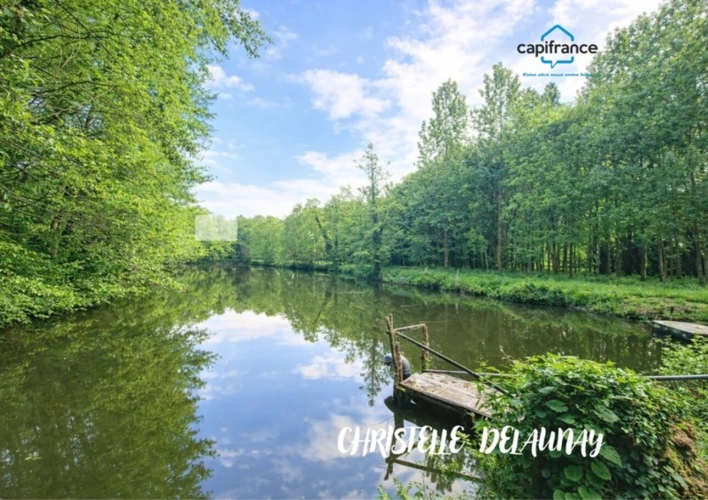 Photos 2 - Forest - ETANG  à Craon