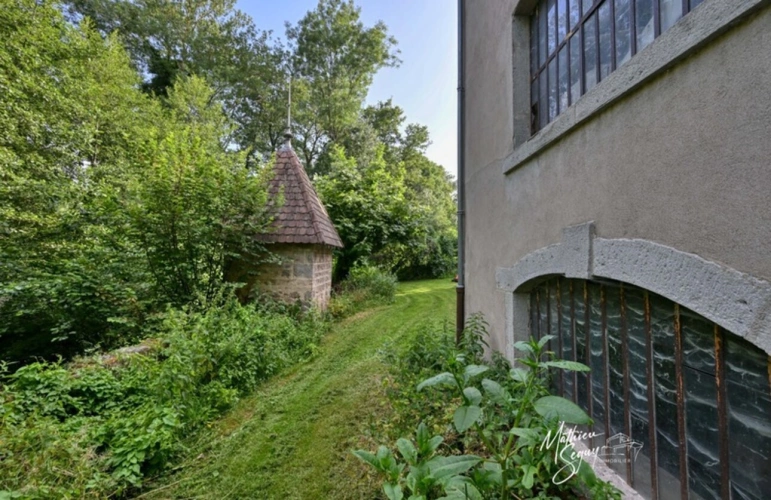 Photos 75 - Touristique - Ancien Moulin sur 1,3 Ha de terrain à MESSIMY (69)