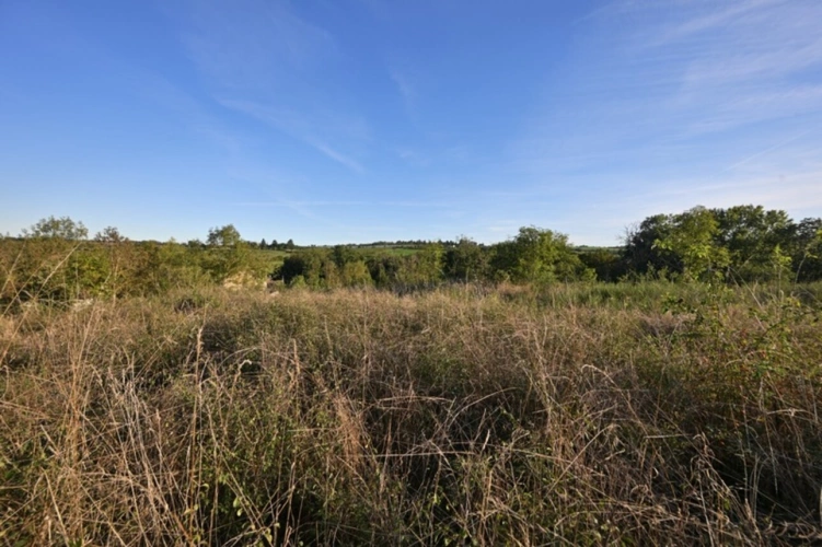 Photos 8 - Touristique - Ancien Moulin sur 1,3 Ha de terrain à MESSIMY (69)