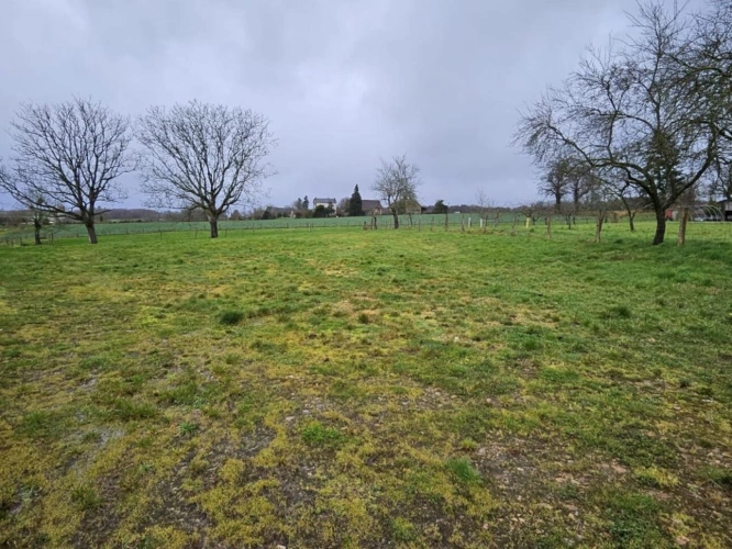 Photos 5 - Prestige - Maison