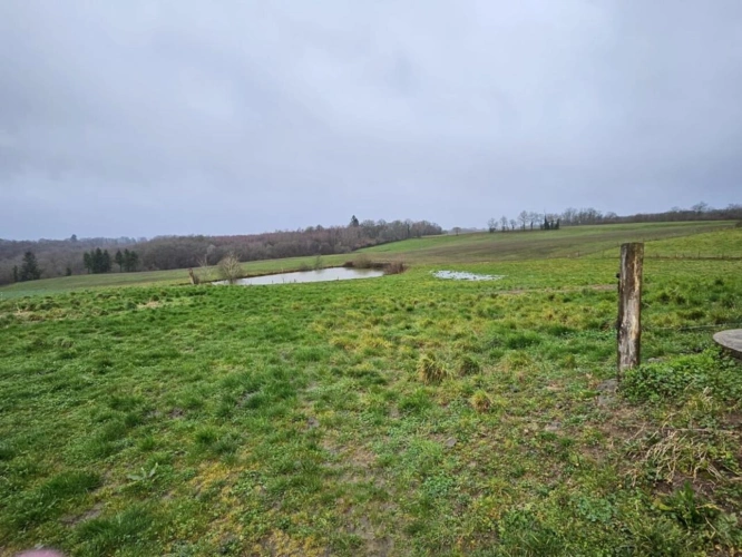 Photos 7 - Prestige - Maison