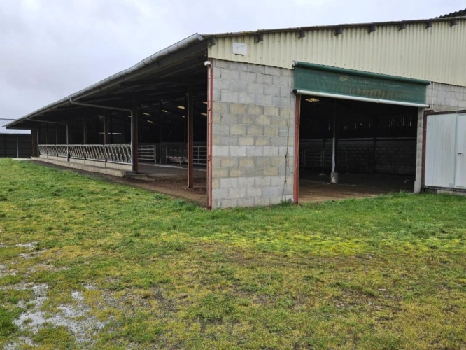 Photos 19 - Prestige - Maison