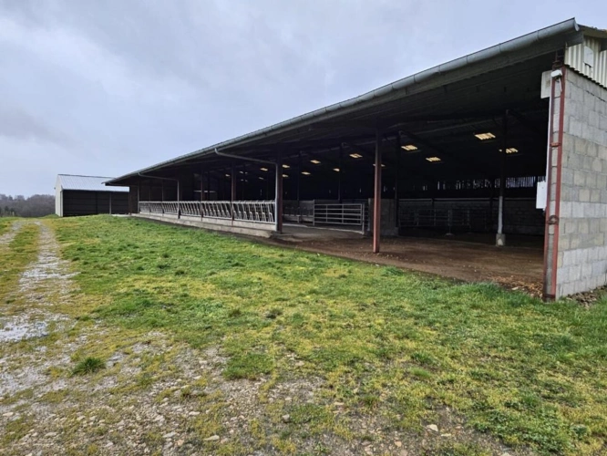 Photos 20 - Prestige - Maison