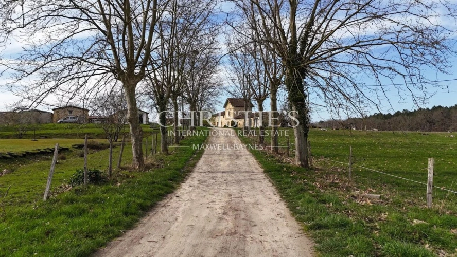 Photos 12 - Agricole - Aux portes de Saint-Émilion — Domaine agricole 19 ha, maison de caractère en pierre, grand potentiel
