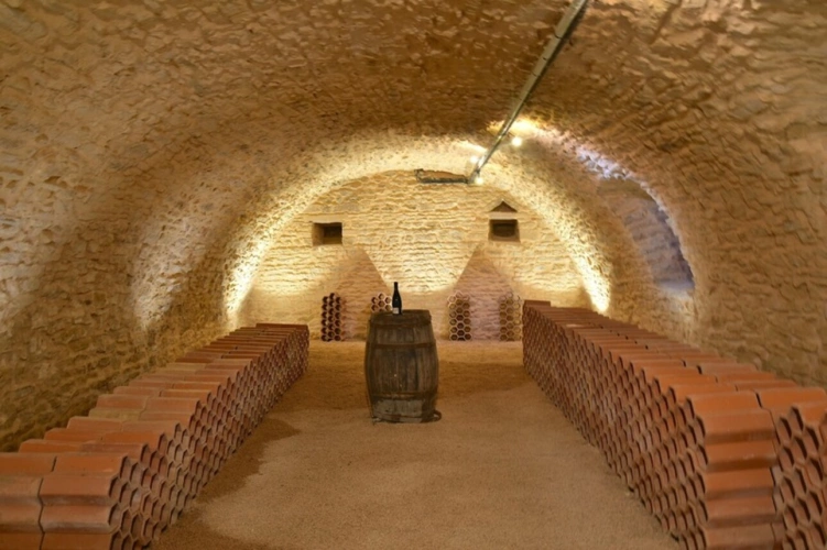 Photos 5 - Prestige - Demeure de caractère du XVIIIᵉ siècle – 435 m² – Parc arboré de 5 000 m² – Piscine – Au calme absolu