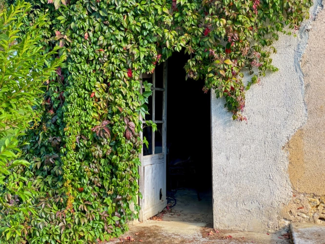 Photos 3 - Rurale - Propriété à vendre 9 pièces RIGUEPEU (32) - 315 m2 - 1,9 hectares