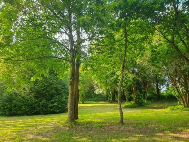 Photos 14 - Prestige - Propriete à vendre 14 pièces PLEGUIEN (22)