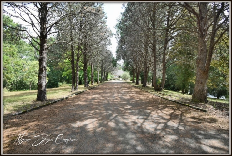 Photos 2 - Prestige - Propriete à vendre 8 pièces  de 350 m² environ à MIMIZAN (40) avec lac privatif, cadre exceptionnel