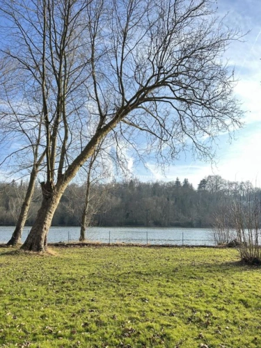 Photos 26 - Prestige - Propriété de rêve en bord de Seine, ponton privé, piscine