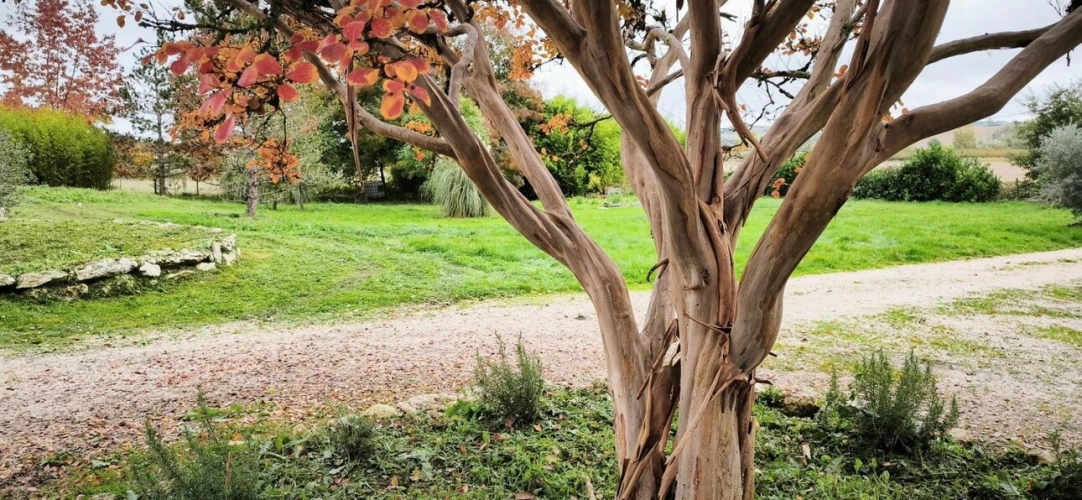 Photos 17 - Rurale - Maison