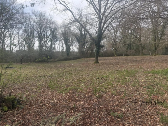 Photos 16 - Équestre - Propriété équestre avec carrière, paddocks et boxes sur prè