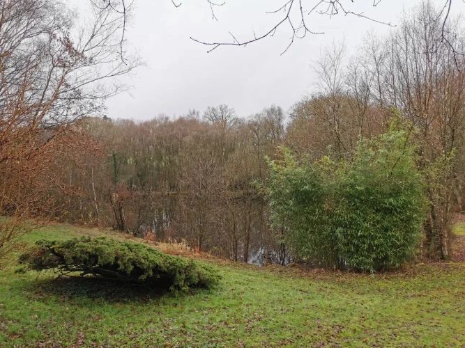 Photos 5 - Rurale - Etang et forêt