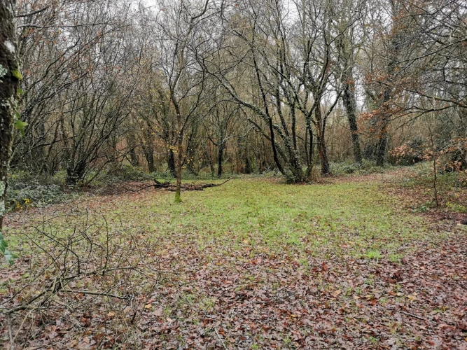 Photos 8 - Rurale - Etang et forêt