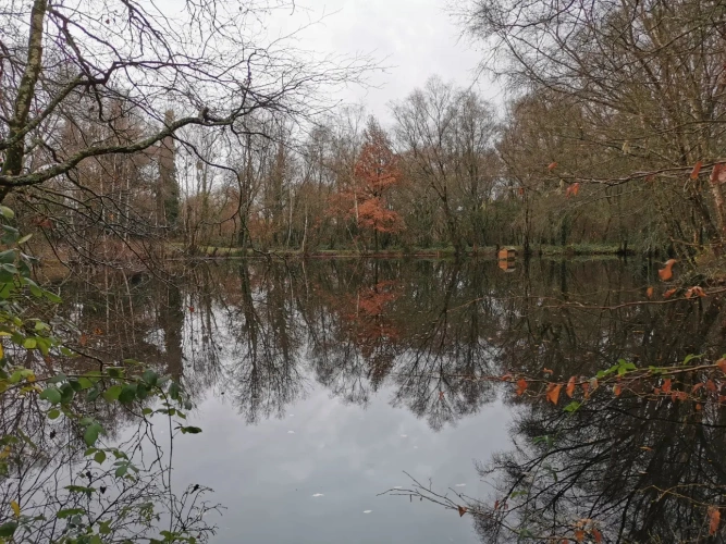 Photos 9 - Rurale - Etang et forêt