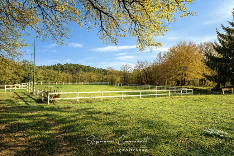 Photos 19 - Équestre - Propriété équestre en pleine nature