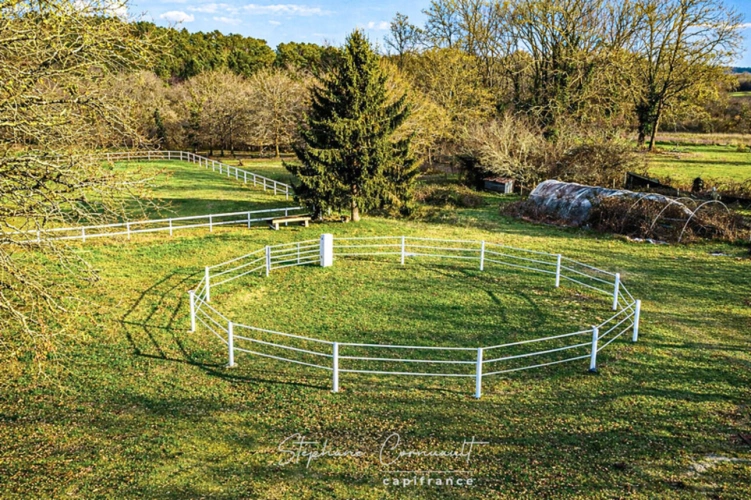 Photos 20 - Équestre - Propriété équestre en pleine nature